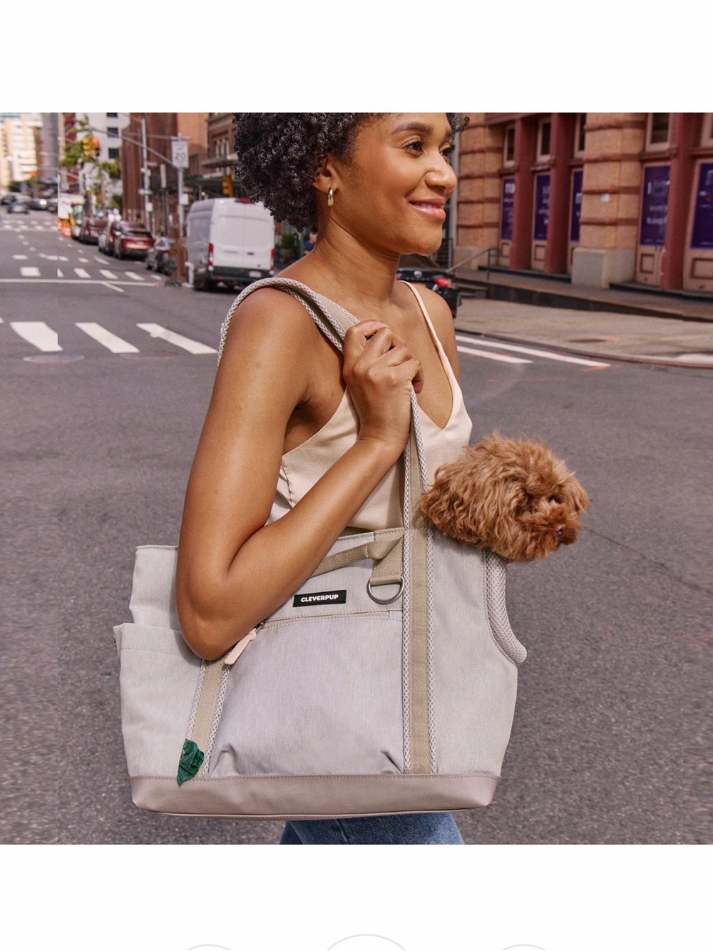 NWT Small Transit Tote Dog Carrier